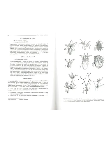 Flore pratique du Maroc