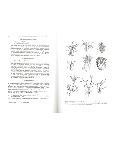 Flore pratique du Maroc