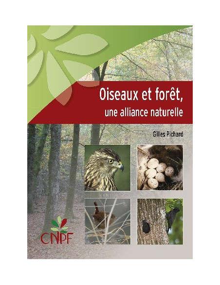 Oiseaux et forêt, une alliance naturelle