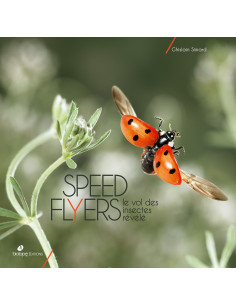 Speed flyers - Le vol des...