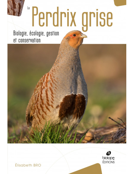 la-perdrix-grise