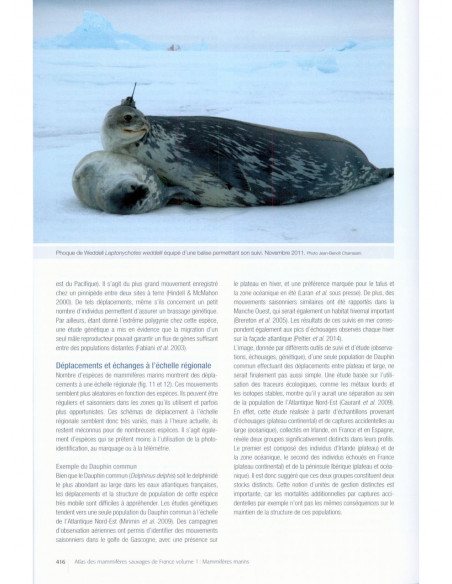 Atlas des mammifères sauvages de France Volume 1 - Mammifères marins