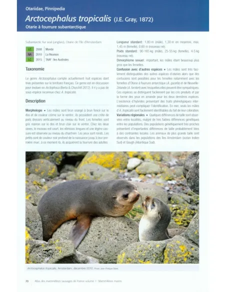 Atlas des mammifères sauvages de France Volume 1 - Mammifères marins