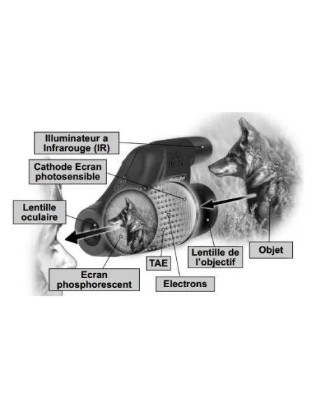 Monoculaire Night Owl Optics Galactic View Star Gazer 60mm - Grossissement X5
