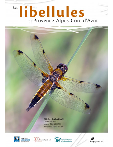 Les libellules de Provence-Alpes-Côte d’Azur