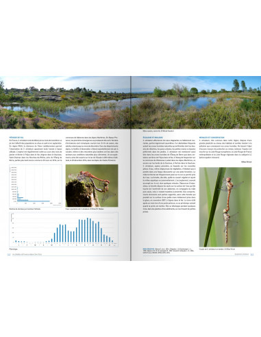 Les libellules de Provence-Alpes-Côte d’Azur