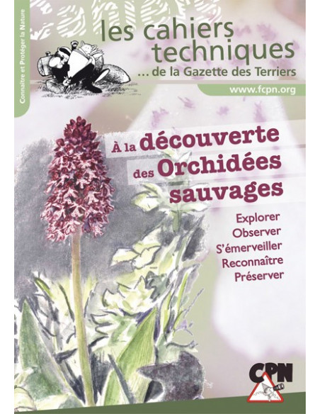 À la découverte des orchidées sauvages