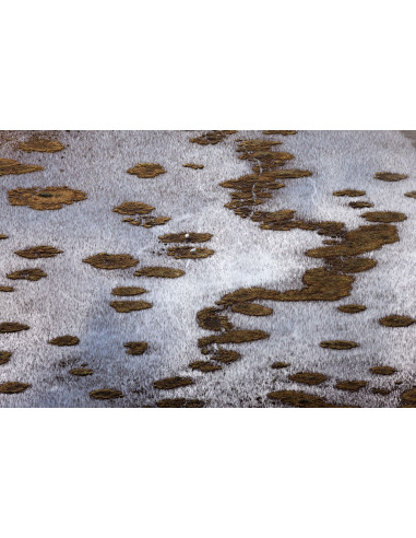 Taïga - Regard Du Vivant