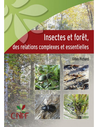 Insectes et forêt, des relations complexes et essentielles