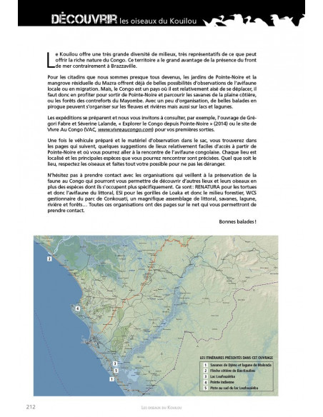 Les oiseaux du Kouilou