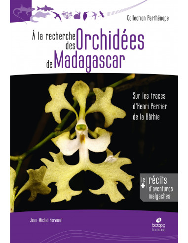 A la recherche des Orchidées de Madagascar