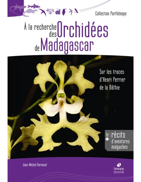 A la recherche des Orchidées de Madagascar