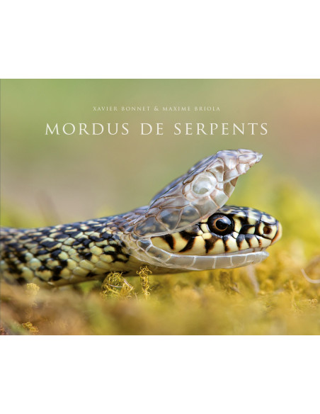 Mordus de serpents