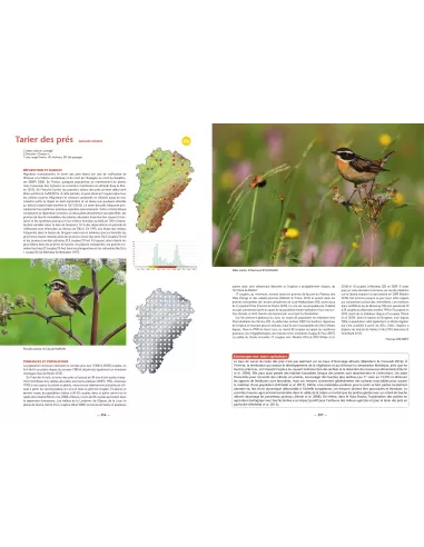 Oiseaux de Franche-Comté - Répartition, tendance et conservation