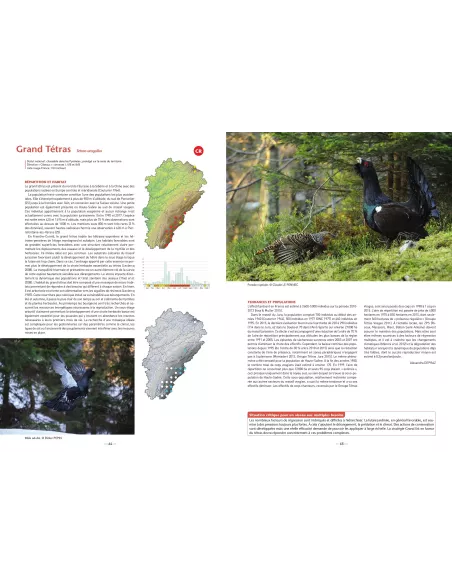 Oiseaux de Franche-Comté - Répartition, tendance et conservation
