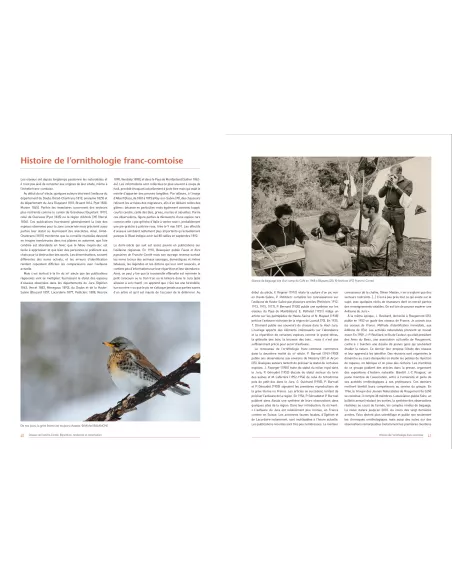 Oiseaux de Franche-Comté - Répartition, tendance et conservation