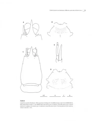 Tropical Deep-Sea Benthos - Volume 30