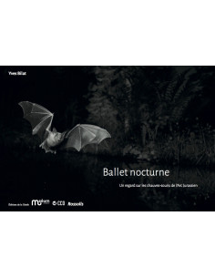 Ballet nocturne - Un regard sur les chauves-souris de l'Arc jurassien