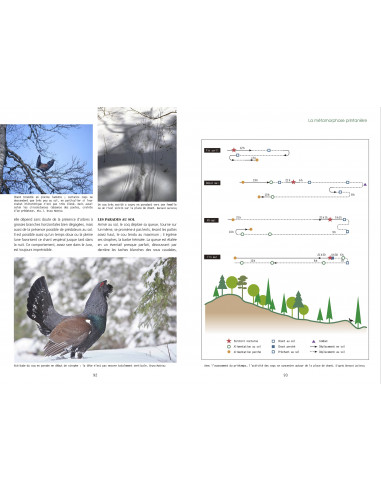 Souscription - Le grand Tétras
