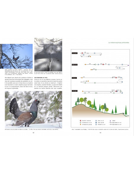 Souscription - Le grand Tétras