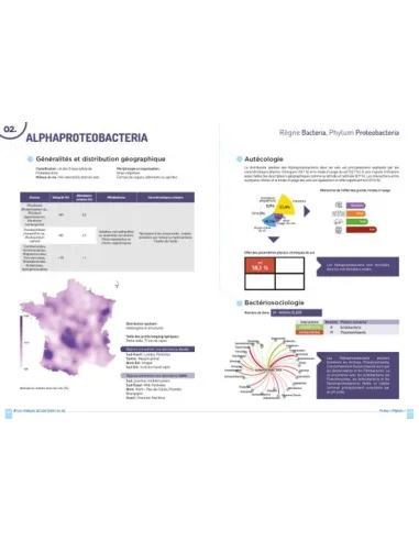 Atlas Français des bactéries du sol