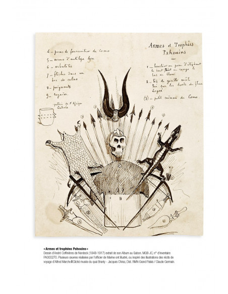 Le spécimen et le collecteur - Savoirs naturalistes, pouvoirs et altérités (18ème-20ème siècles)