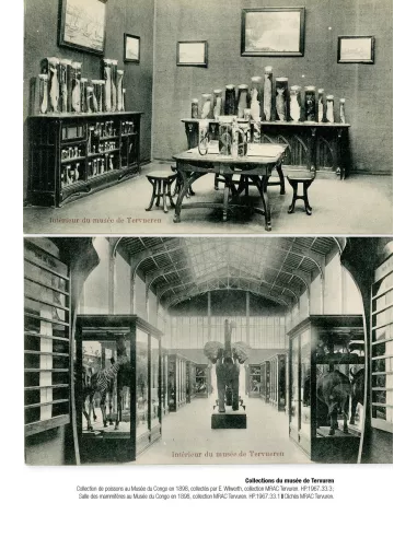 Le spécimen et le collecteur - Savoirs naturalistes, pouvoirs et altérités (18ème-20ème siècles)