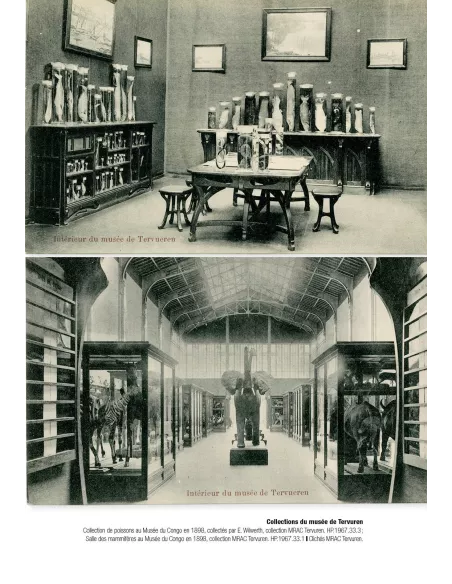 Le spécimen et le collecteur - Savoirs naturalistes, pouvoirs et altérités (18ème-20ème siècles)