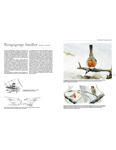 Le comportement des oiseaux d'Europe