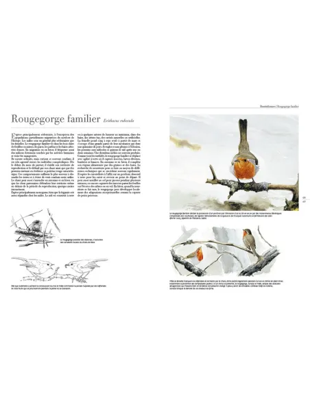 Le comportement des oiseaux d'Europe