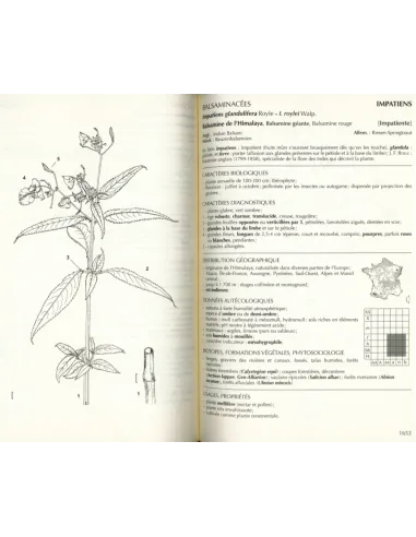 Nouvelle édition - Flore forestière...