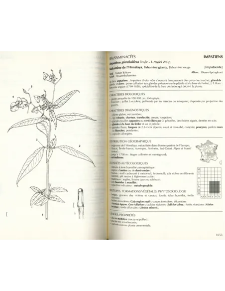 Nouvelle édition - Flore forestière française - Tome 1 Plaines et collines