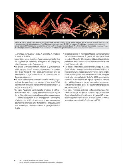 Les crustacés décapodes des Petites Antilles - Avec de nouvelles observations pour Saint-Martin, la Guadeloupe et la Martinique