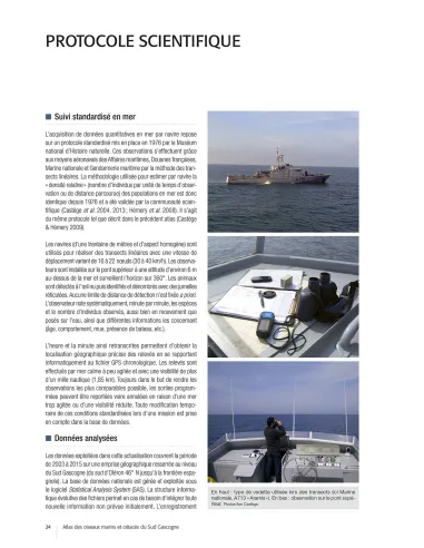 Atlas des oiseaux marins et cétacés du Sud Gascogne - De l'estuaire de la Gironde à la Bidassoa