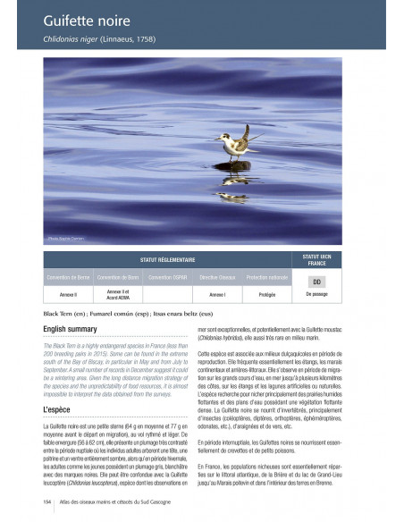 Atlas des oiseaux marins et cétacés du Sud Gascogne - De l'estuaire de la Gironde à la Bidassoa