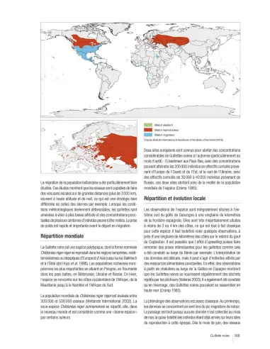 Atlas des oiseaux marins et cétacés du Sud Gascogne - De l'estuaire de la Gironde à la Bidassoa