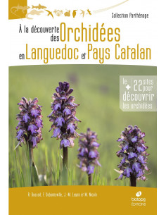 A la decouverte des orchidées en Languedoc et Pays Catalan