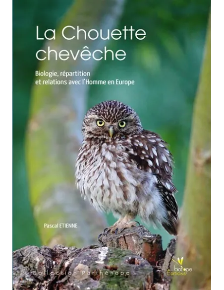 La Chouette chevêche - Biologie, répartition et relations avec l'Homme en Europe