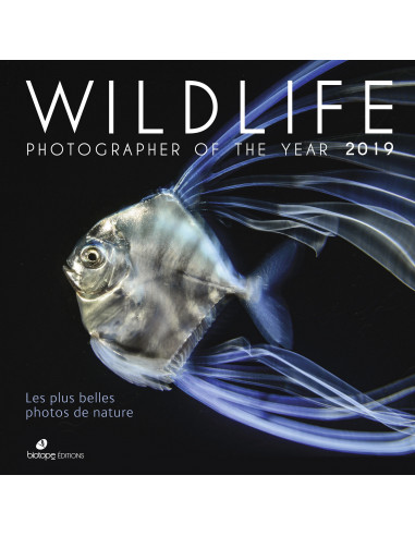 Wildlife Photographer of the Year 2019 - Les plus belles photos de nature