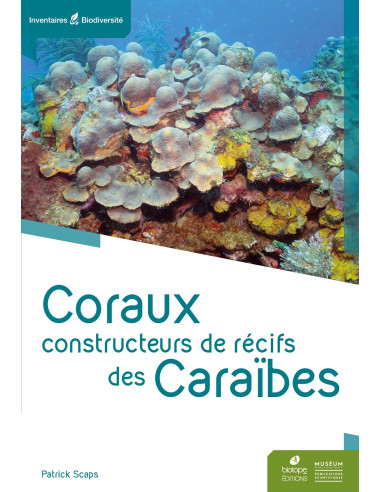 Coraux constructeurs de récifs des Caraïbes