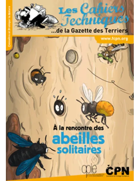 A la rencontre des abeilles solitaires