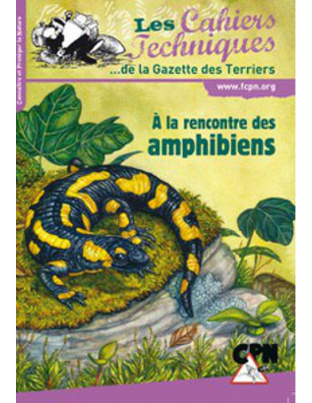 A la rencontre des amphibiens