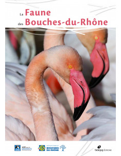 La faune des Bouches-du-Rhône