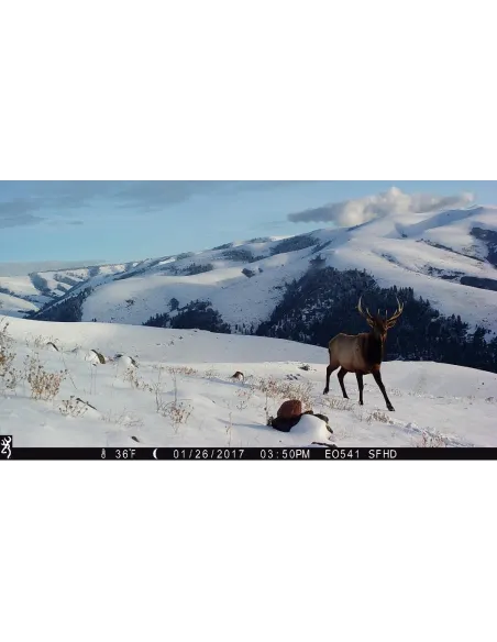 Piège photographique et vidéo Browning Strike Force PRO DCL Nano FULL HD 4K - 26 MP