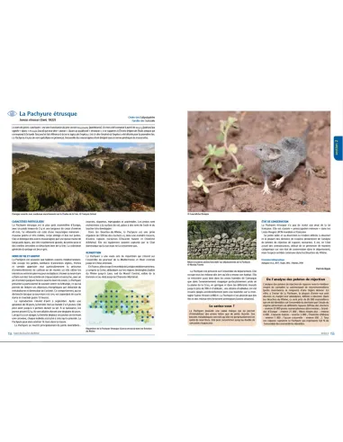 La faune des Bouches-du-Rhône