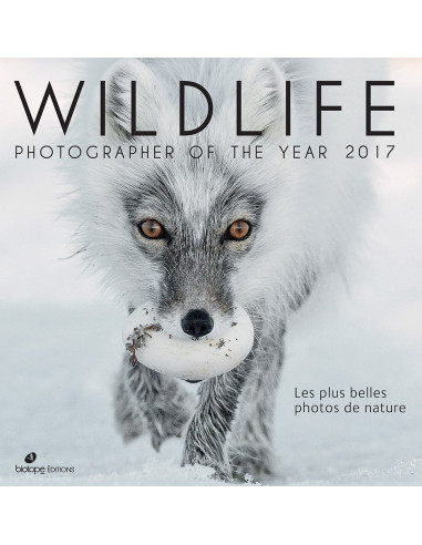 Wildlife Photographer 2017 - Les plus belles photos de nature