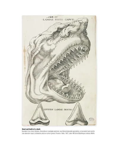 Historical Portrait of the Progress...