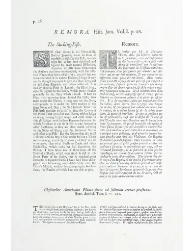 Historical Portrait of the Progress...