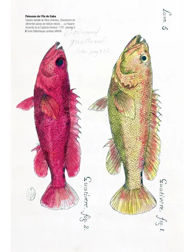 Historical Portrait of the Progress...