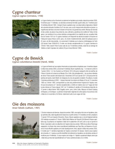 Atlas des oiseaux migrateurs et...